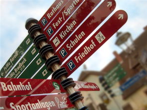 星空体育入口app-高校运动队选拔机制公平性研究，高校运动队选拔机制公平性研究报告