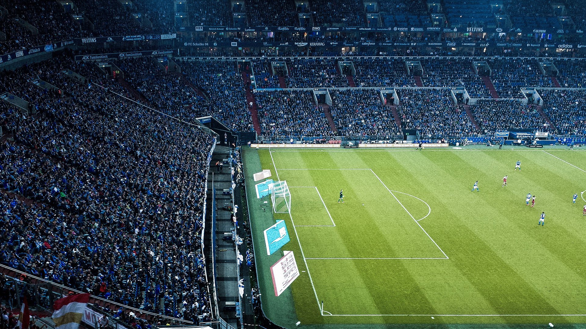 新型球场草坪启用,提升比赛质量,球场草坪养护